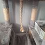 cat tree Image 4