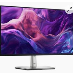 Dell 24" Monitor