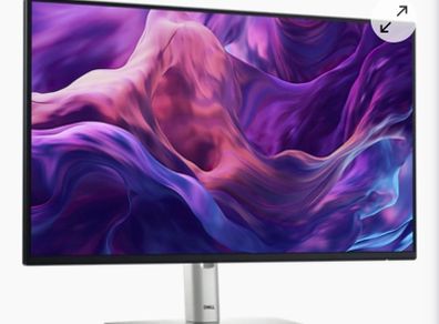 Dell 24" Monitor