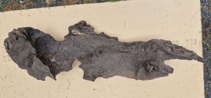 Collection of 4 Ancient Irish Bog Oak Pieces