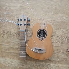 Broken Ukulele