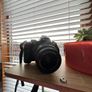Nikon D5000 DSLR + Fujifilm FinePix 30x Zoom Camera Image 4