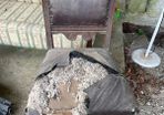 vintage chair