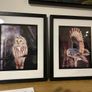 owl pictures Image 3