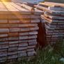 Scaffolding Image 3
