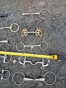 horse bits