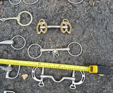 horse bits