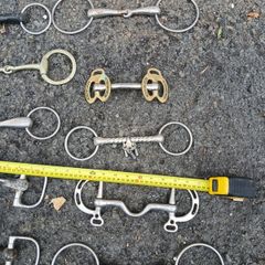 horse bits