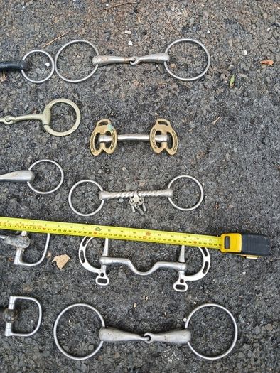 horse bits