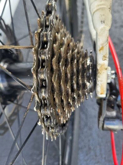 M. Apollo Evade Disc Brake Model