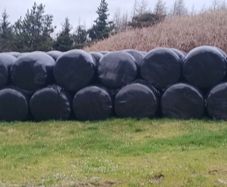 Silage bales
