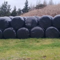 Silage bales