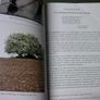 In search of the Dreamtime in County Clare Ireland Irish History Folklore Signed Image 9