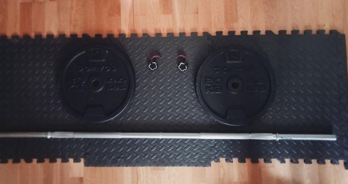 20kg Weight Plates and Barbell (Decathlon)