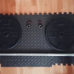 20kg Weight Plates and Barbell (Decathlon)