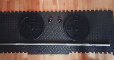 20kg Weight Plates and Barbell (Decathlon)