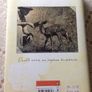 An African Love Story. Love, Life & Elephants.   Daphne Sheldrick. Image 2