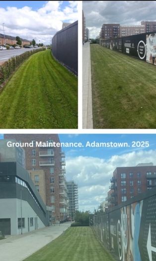 Professional Garden Maintenance - Dublin & North Wicklow