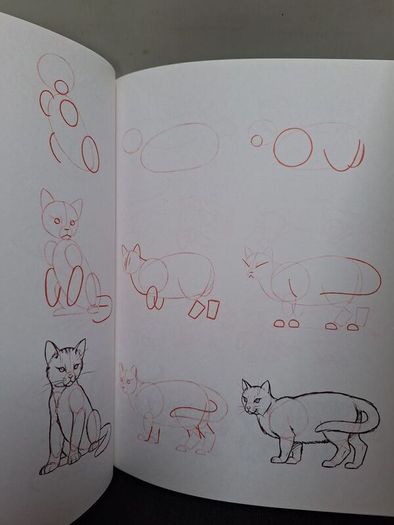 SALE! Set of 4 DRAW 50 drawing books: Dinosaurs, Flowers, Animals and Endangered Animals