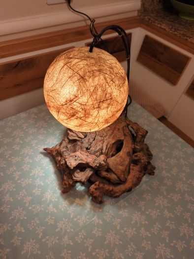 Bog wood lamp