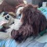 Brown Fox Fursuit Image 7