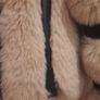 ladies jacket Image 2