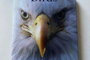 Birds (also published as Encyclopedia of Birds)