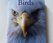 Birds (also published as Encyclopedia of Birds)