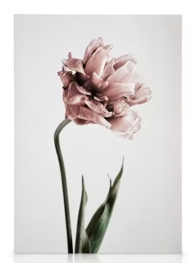 Desenio artwork print sets
