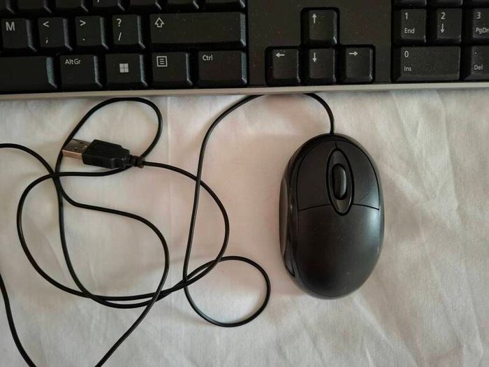 Laptop Office Bundle