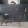 LG telly Image 4