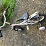 Free small bicycle Image 2