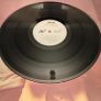 Sinead O'Connor- The Lion and the Cobra (Irish pressing) Image 5