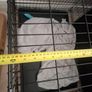 dog cage Image 5