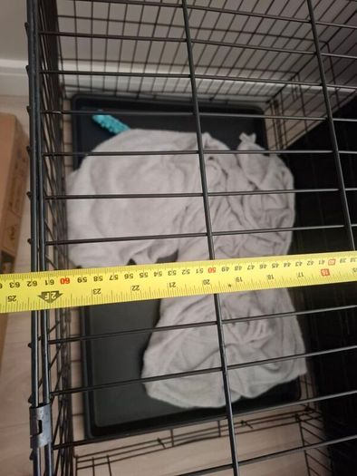 dog cage