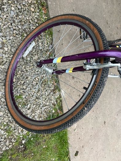 Raleigh Pop 26inch girls bike