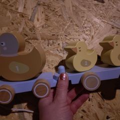Wooden pulll along ducks