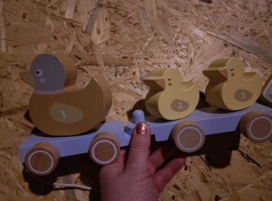 Wooden pulll along ducks