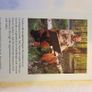 Beningfields Woodlands. Beautiful paintings by Gordan Beningfield of woodland and it birds and animals. Image 5
