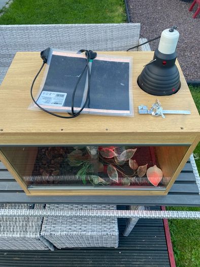 Reptile Vivarium