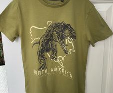 Next Dinosaur T-Shirt (Age 8)