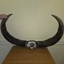African Water Buffalo Horns Image 8