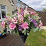 garden Image 2