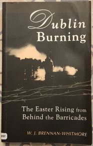 Dublin Burning: The Easter Rising From Behind The Barricades by W.J. Brennan-Whitmore