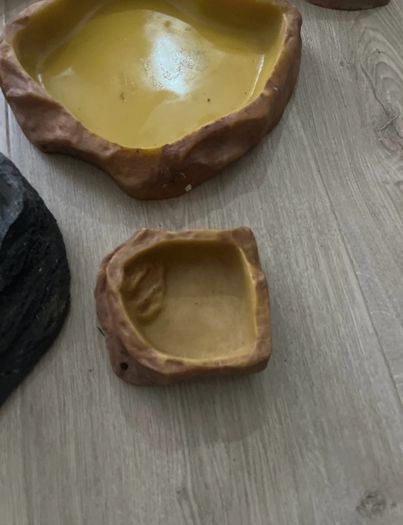 Bundle of Reptile Acessories Feeding Bowls