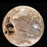 Polished Petrified Wood Geode Sphere (Diameter 10.2cm) - Wood, Woden Stand Image 4