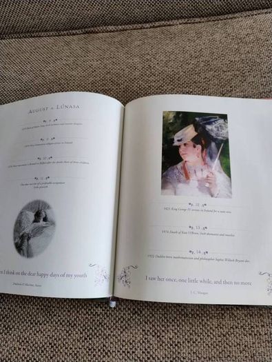 An Irish Woman's Book of Days 2012 hardback with dustcover in excellent condition 112 pages of Inspiration Verse and Celebration FREE STANDARD POSTAGE INCLUDED