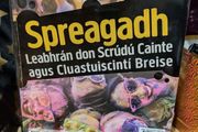 BRAND NEW Spreagadh Leaving Cert Irish Ordinary Level Still Sealed!