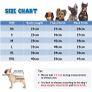 Bear Small Dogs Winter Clothes,Dog Winter Warm Coat Soft Fleece with Reflective Zip Dog Onesie Jumpsuit, Puppy Pet Pajamas Costume Apparel (Blue, L) Image 4