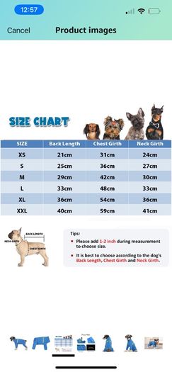 Bear Small Dogs Winter Clothes,Dog Winter Warm Coat Soft Fleece with Reflective Zip Dog Onesie Jumpsuit, Puppy Pet Pajamas Costume Apparel (Blue, L)